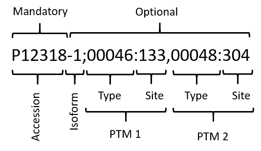 Image of the proteoform simple format explanation.